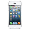 Apple iPhone 5 32Gb white - Колпашево