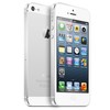 Apple iPhone 5 64Gb white - Колпашево